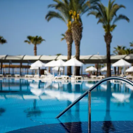 Tui Blue Palm Garden シダ