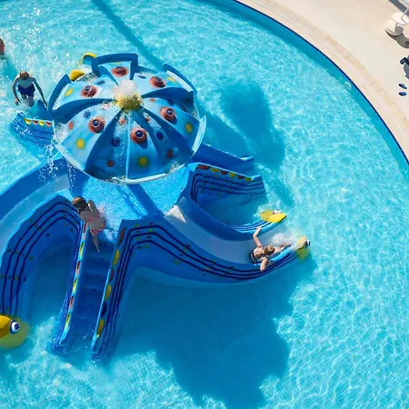 Tui Blue Palm Garden シダ