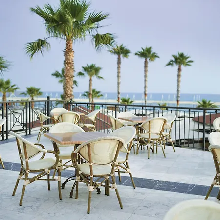 Tui Blue Palm Garden シダ