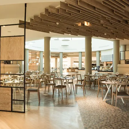 リゾート Tui Blue Palm Garden シダ