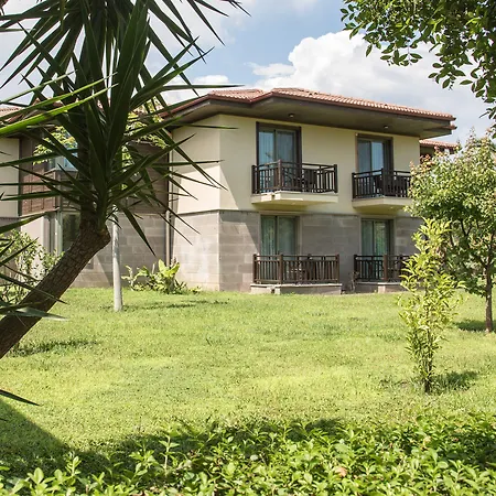 Tui Blue Palm Garden シダ