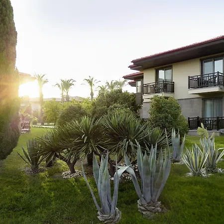 リゾート Tui Blue Palm Garden 4*