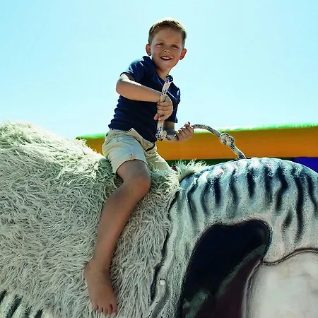 Tui Blue Palm Garden 4* シダ