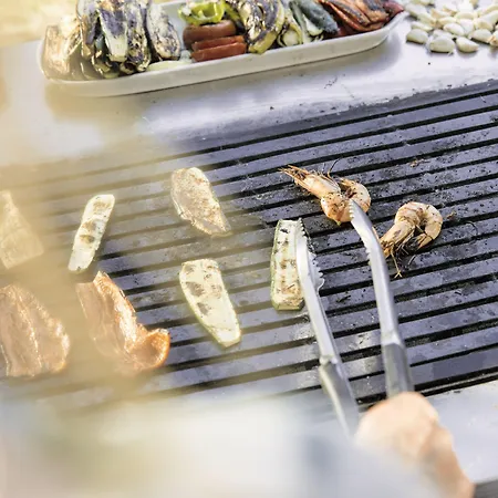 Tui Blue Palm Garden Station touristique 4*