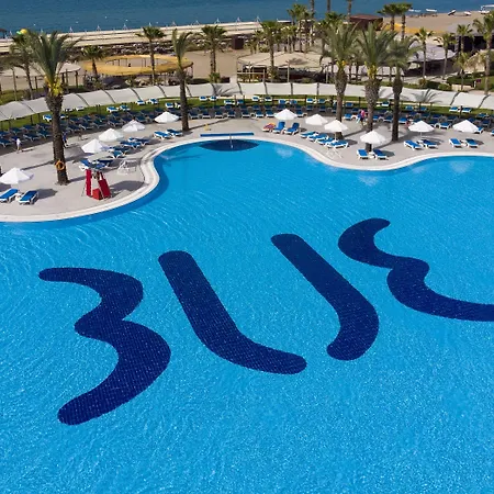リゾート Tui Blue Palm Garden シダ
